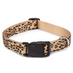 Cheetah Collar