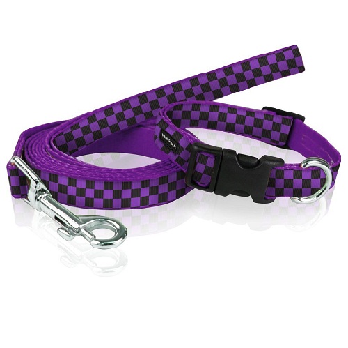 Purple Leash and Collar