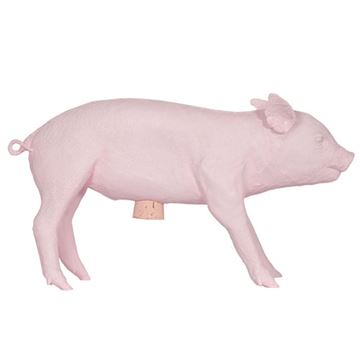 Bank in the Form of a Pig