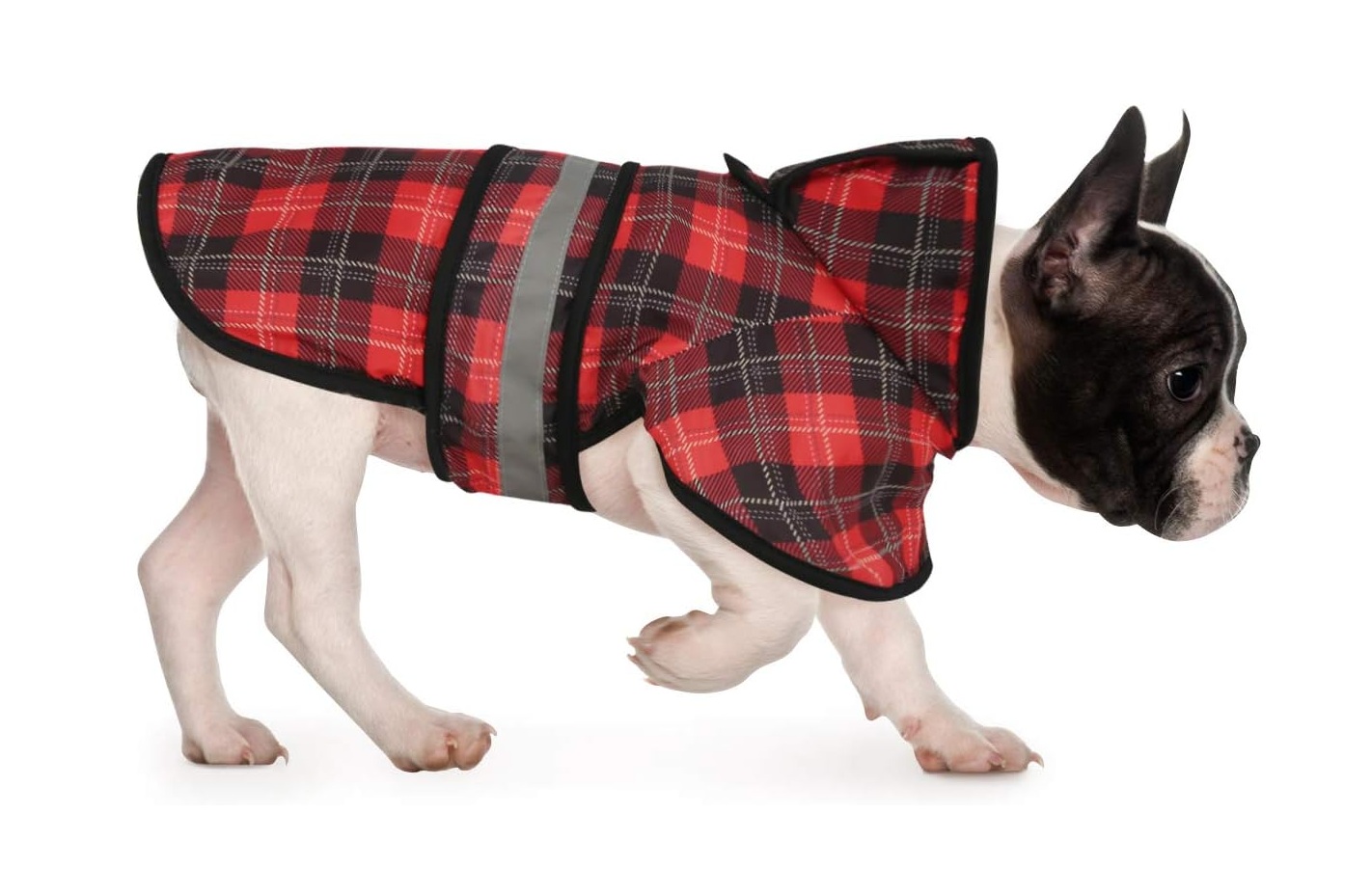 plaid dog raincoat