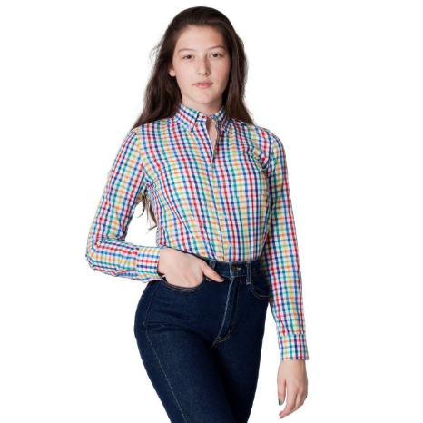 American Apparel Rainbow Gingham Button-Down Shirt