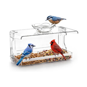 Window-Mounted Birdfeeder